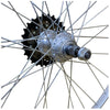 Baldys 27 x 1-1/4 REAR Bike Cycle Wheel + 7 Speed Shimano Freewheel Nutted Hub