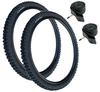 KEN_816_20x1.95__TWO-TYRES_E3_+_2-20P__E8