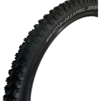 Schwalbe BIG BETTY 29 x 2.40 BIKE PARK Performance ADDIX MTB TYRE s TUBE s