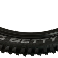 Schwalbe BIG BETTY 29 x 2.40 BIKE PARK Performance ADDIX MTB TYRE s TUBE s