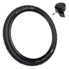 Schwalbe BIG BETTY 29 x 2.40 BIKE PARK Performance ADDIX MTB TYRE s TUBE s