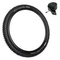 Schwalbe BIG BETTY 29 x 2.40 BIKE PARK Performance ADDIX MTB TYRE s TUBE s