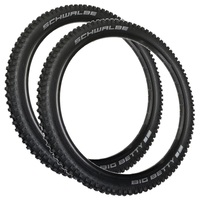 Schwalbe BIG BETTY 29 x 2.40 BIKE PARK Performance ADDIX MTB TYRE s TUBE s