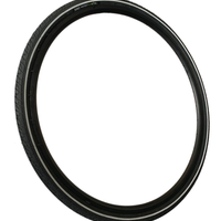 PP_700_38_ONE-TYRE__F1