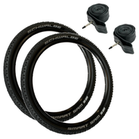 TY11101136__TWO-TYRES_+_2-29P*__