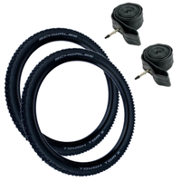 TY11101026__TWO-TYRES_+_2-29P-NUT__E2